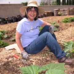 Tim Constantine's Sister Working in a Vegetable Garden in San Dimas California