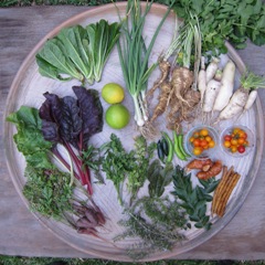 A round plate full of freshly picked garden vegetables